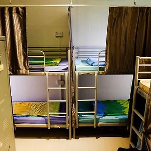Single Bed 12-Bed Mixed Dormitory Room